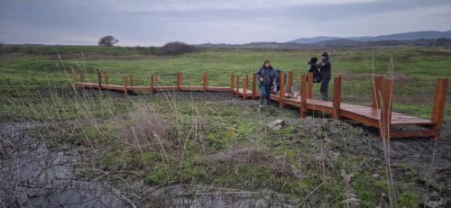 0-02-05-a72236704794a03fef8a9fe02ced5b182396f803bcfef055ae905bf85141b05e 46fa65df6d2f0910