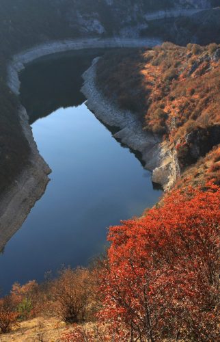 06-T-UvacSpecial-Nature-Reserve-Photo-Srdjan-Marincic