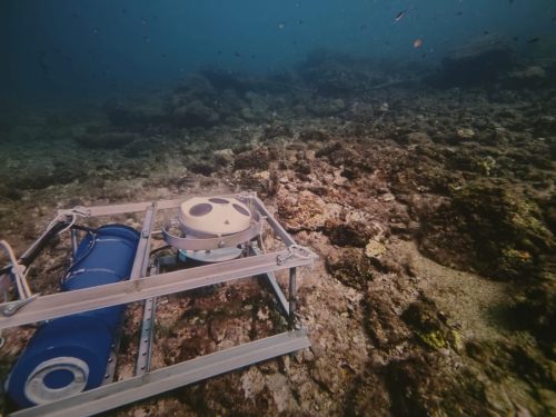 33b2d90c-bf0d-4936-934a-4480ba5f3603