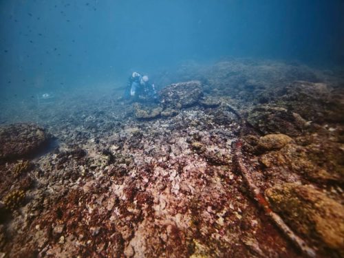 37f9eb15-97d9-4cab-99c3-1ca2bdeba64a