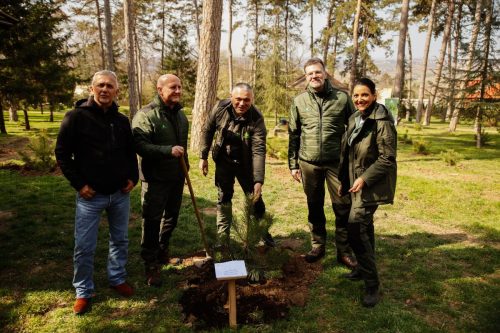 Фото Матија Поповић