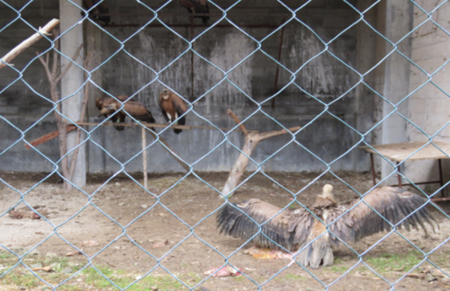 68DB-69428180-11-6FBA2D80