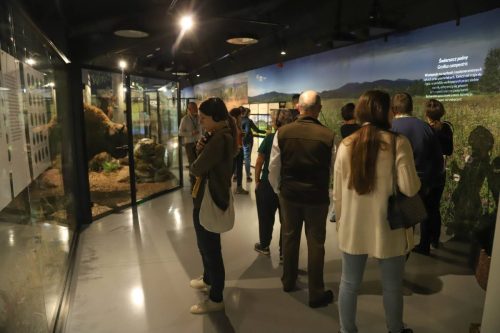 Coof JMC Poland ECO-251006-4754