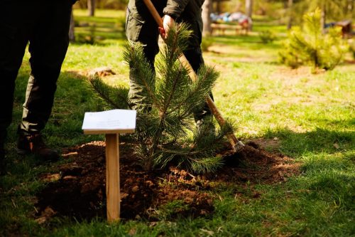 Фото Матија Поповић