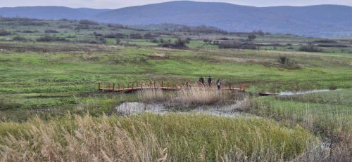 IMG-2ffb6f3f282d99007353e8bb5a0dc1bf-V