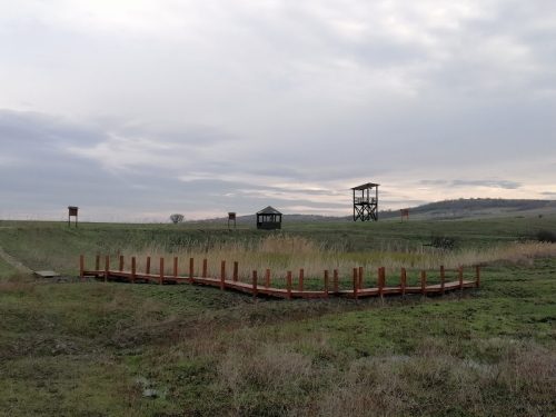 IMG 20251204 135010 resized 20251212 104357253