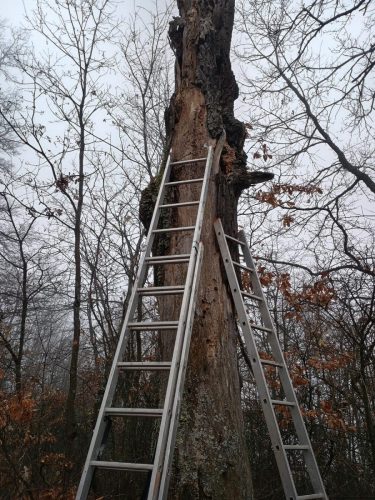 IMG 20251207 130724136 HDR