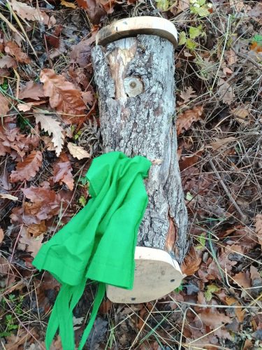 IMG 20251207 131016191 HDR