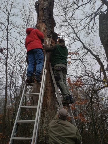 IMG 20251207 131613538 HDR