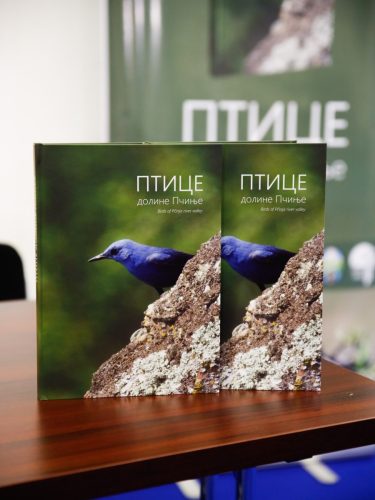 image00002 (1) (1) (1)