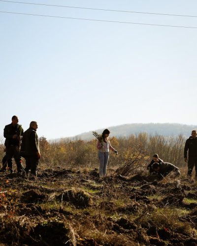 image00004 (1) (1) (1) (1)