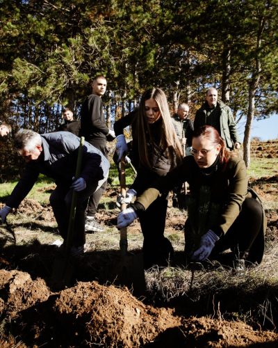 image00008 (1) (1) (1) (1) (1)