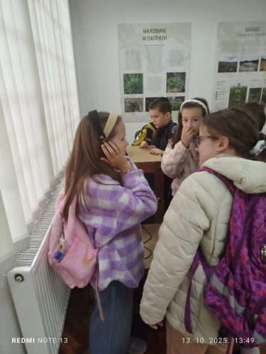 image6 (1) (1)